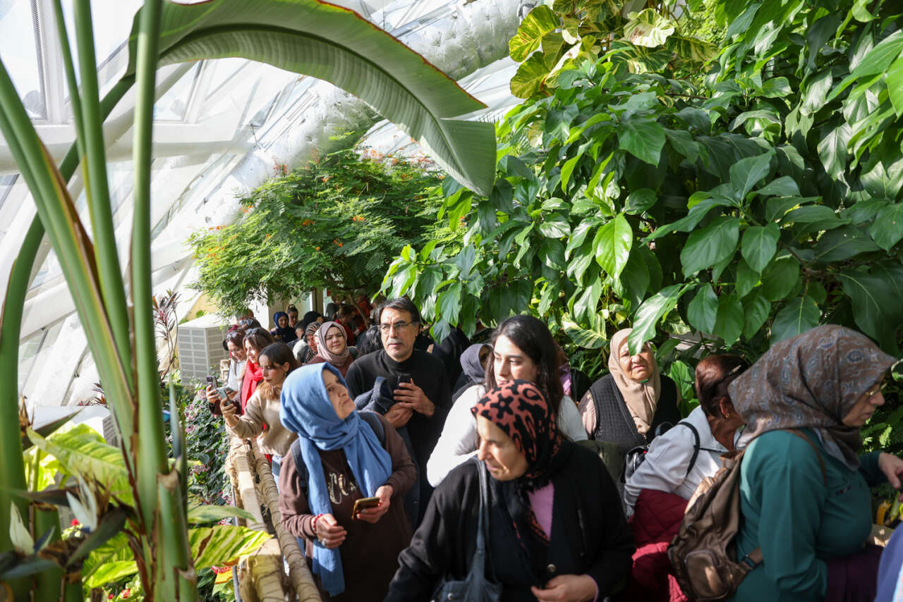 Konya’nın kelebek cenneti ziyaretçi rekoru kırdı 17